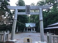 奇跡の現象「霜の花」がお出迎え！  初心者でも楽しめる静岡県「竜爪山ハイキング」山頂からの駿河湾と富士山の絶景とは？