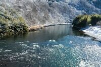4か月で一匹！ 12回連続ボウズ！ 「それでも止められない本流フライフィッシング」 ついに釣れた感動に泣きそうなルポ 犀川【長野県】