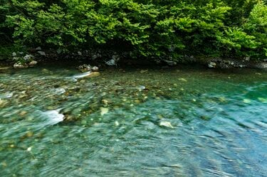 渓流釣り】ヤマメとイワナが釣れる上越エリアでフライ