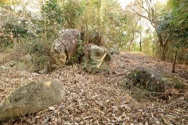 石の城と思いきや土の城だった！「安芸国・頭崎城〈後編〉」　最後に待ちうけていた驚異の “巨壁” に本気を見る（広島県東広島市）【戦国の山城を攻める vol.08】の画像005