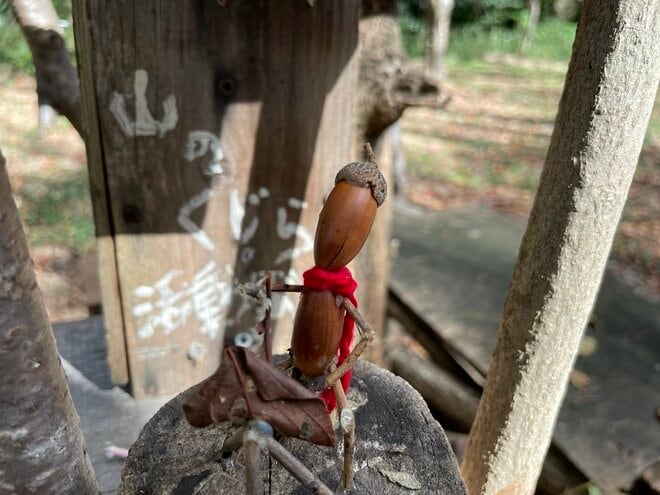 天下人・三好長慶の居城「飯盛城跡」で「絶景のハシゴ」を楽しめる＜歴史巡り里山ハイキング＞とは？【里山アドベンチャー！ソトアソ日和 vol.9】の画像014