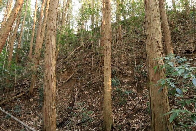 石の城と思いきや土の城だった！「安芸国・頭崎城〈後編〉」　最後に待ちうけていた驚異の “巨壁” に本気を見る（広島県東広島市）【戦国の山城を攻める vol.08】の画像012