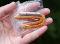 【最小2.2gの着火剤とは？】繰り返し使えて「超軽量コンパクトな着火剤」を集めてみました【低山小道具＆技術研究所 vol.28】の画像001
