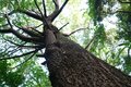 夏の低山を楽しむ！ “始発ハイク”＆街歩きのススメ【鎌倉編】の画像006
