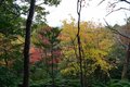 秋の京都は観光だけではもったいない！　紅葉と寺社と山をまるっと楽しむ！【2021年・秋】の画像011