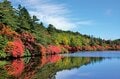 カメラを持って『北八ヶ岳ロープウェイ』へ出かけよう！  かつての火山噴火が作り上げた「希少な自然美」に出会う【特集・紅葉フォトトレッキングガイド 2024】の画像003