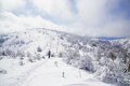 【積雪期だけ見られる絶景】抜けるような青空と白銀の山肌が鮮烈すぎる！  浅間連峰の「絶景雪山2選」【今日も山旅気分 vol.28】の画像007