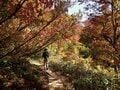 秘境！ 絶景！ ここだけは行きたい！【紅葉の山歩き ベスト5】信越 前編 「巻機山・苗場山・越後駒ヶ岳・八海山・平ヶ岳」の画像013