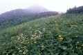 15年以上ぶりに再訪「日本百名山・北岳」同時期「約5℃上昇」で「変わったこと＆変わらないこと」とは！？  感激だった「お花畑」ほか「2024年 登山レポ」の画像010
