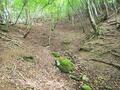 晴れた日には大阪湾まで眺望OK！  北摂山系最高峰「深山」山頂からのパノラマ絶景＆ご神体「深山宮」兵庫県立ささやまの森公園コース「登山レポ」の画像015