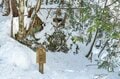 「飛騨・位山」 気持ちいい頂で深呼吸、山で汲んだ美味しい水でコーヒーを一杯いただく登山レポート【2025年 岐阜県】の画像003