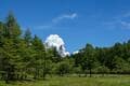 夏登山は涼しい「入笠山」から！  新緑と花々の「入笠湿原」&「大阿原湿原」山頂は「360度パノラマ」絶景！  ゴンドラ利用で往復3時間「登山レポ」の画像011