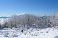 「五百円紙幣の撮影地」富士山のベストビュースポット “雁ヶ腹摺山” ってどんな山！？の画像005
