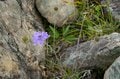 この秋「絶景」に会いに行く！ 北アルプスの“入門登山”と言えば人気の「八方池＆唐松岳」で決まり！の画像006