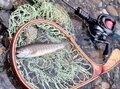 釣り具の概念を覆す価格破壊か！？ 釣り人の間で話題沸騰！ 噂のダイソー「PEライン」を使って釣りをしてみたの画像011