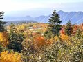 今週末の紅葉見るならどこ？ 名所＆人気スポットから最新情報をお届け「WEEKLY紅葉ニュース」【2023年10月第3週】の画像013