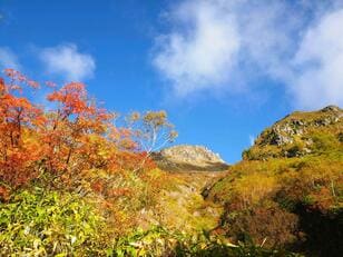 「秋の上高地」で「紅葉景色」満喫する登山＆散策！  新中の湯登山口から「焼岳」を越えて、青く輝く梓川が美しい「河童橋」へ