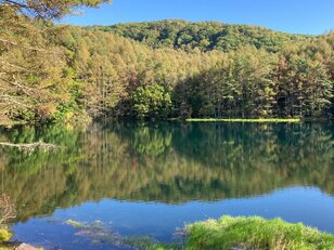 アクセス抜群！「八ヶ岳の玄関口」信州・蓼科で楽しむ（2）【読めますか】「御射鹿池」ほか「3つの水絶景」【実は一字も濁らない】