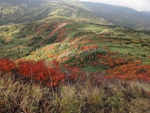 「NO渋滞」の穴場で絶景！ 東北・八幡平「岩手山の眺望＆高山植物ハイキング」4つのコース