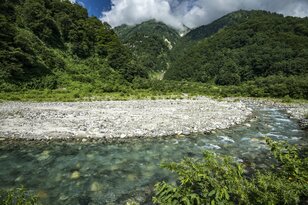 夏真っ盛り！ ウェットウェーディングで涼を感じる【渓流釣り】 白馬・姫川上流 2022年