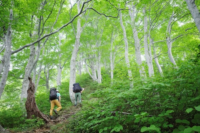 【クマだけじゃない】豪雨・崩落で相次ぐ登山道規制「この夏、歩ける山」と「注意が必要な山」の画像004