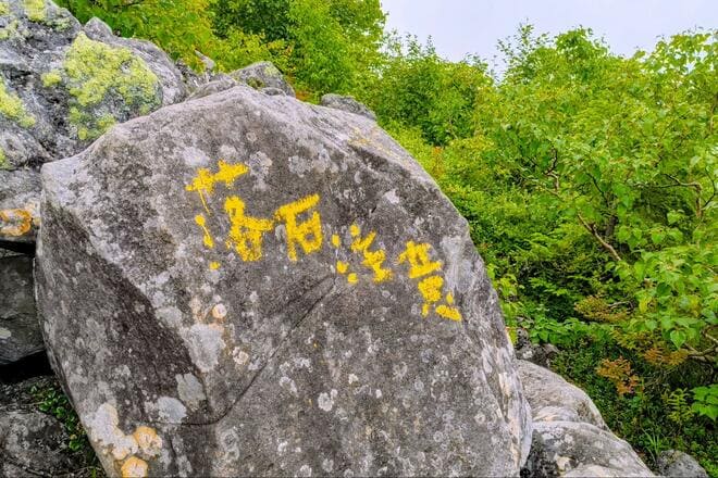 八ヶ岳北端にそびえる「蓼科山」 七合目から山頂往復ハイキング！  神聖な山で瑞々しい「苔」と大きな「岩」を堪能「日帰り登山レポ」の画像007