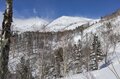 バックカントリー！  冬山登山！  年末年始は遭難の多発時期「他人事ではない」冬山シーズン初頭ならではの注意点とは（2021年12月31日・大晦日の「栂池登山相談所」より）の画像003