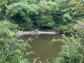 【夏の低山は早朝勝負！】梅田駅からわずか小一時間の国見山＆枚方の最高峰 “サンドイッチ山” で「サクっとモーニング歴史山歩（サンポ）」【里山アドベンチャー！ソトアソ日和 vol.5】の画像004