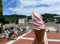 ＜小豆島はオリーブだけじゃない！＞瀬戸内海に浮かぶ「グルメアイランド」を自転車で旅してみたの画像003