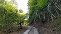 世界文化遺産の山「比叡山」京都・雲母坂から「延暦寺」東塔へ「古道の登山」レポートの画像002