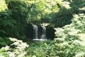 夏の涼！  富士山近くの穴場的「滝スポット」3選！  首都圏からアクセスしやすい富士吉田市＆南都留郡西桂町から、駐車場徒歩30分以内で厳選の画像001