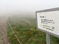 【花の百名山】固有種の花を見るために、林道ゲートオープンと共に夕張岳へ！  2025年・北海道の画像006