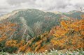 【日本百名山】感動しっぱなし！ 百聞は一見にしかず！ 紅葉の恵那山へ《長野県・岐阜県》2022年の画像007