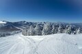 「スキー場は朝イチを狙え！」職人技が光る贅沢圧雪バーン 魅惑の “コーデュロイ” と出会えたら超ラッキーな “圧雪パウダー”【ファーストトラック攻略のヒント】の画像006