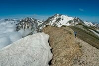 【登山】「雪渓にロープありません」人気ルートだけど要注意！  アイゼンとピッケルを用意して  北アルプス 白馬乗鞍岳／白馬岳 長野県｜2026年
