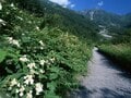 北アルプスど真ん中の秘湯・日本一遠い温泉「高天原温泉」へ入浴登山！ 「花の見ごろ過ぎ＆秋紅葉まえ」のオフシーズン？  まさかの「独泉レポ」の画像001