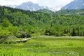 ゴンドラ・ロープウェイで一気に “花咲く湿原” へGO！ 夏の「栂池自然園」で避暑的ハイキング【2024年 長野県小谷村]の画像011