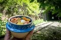 自然と歴史と非日常が交差する「碓氷峠 廃線ウォーク」特別ツアーで行ってきた！ ～日本の近代を支えた“横軽”を歩く～【群馬県安中市】の画像016