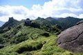 【世界自然遺産・屋久島】九州最高峰の「宮之浦岳」へ！  日本最南端の高層湿原「花之江河」を抜け、洋上のアルプスに臨むの画像013