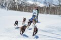 息をのむ絶景「石打丸山スキー場」、本州唯一の犬ぞり体験「水上高原スキーリゾート」【この冬行くべき、体験すべき！ スノーリゾート特集 vol.1】の画像007