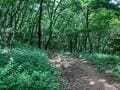 低山が一つの公園！  標高約300ｍの「みかも山」 自然散策から登山まで「アウトドア体験」デビューに最適のスポット！  都心から日帰りOK＆無料【栃木県佐野市】の画像004