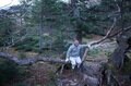 「光岳の登山者は平均年齢高め？」 私の出会った “歳の大きい” お客さんたち【わたし、山小屋はじめます vol.64】の画像009