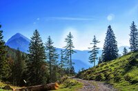【山と不動産】「自分の山を買うということ」実際に山を買うとは、一体どのようなことなのだろうか？