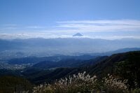 【首都圏近郊】1時間半で登頂できる山梨の隠れ名山「小楢山」紅葉の見頃はもうすぐ！