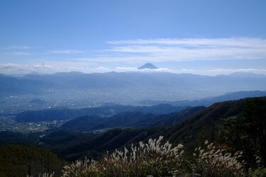 池田圭 ショップ ライター