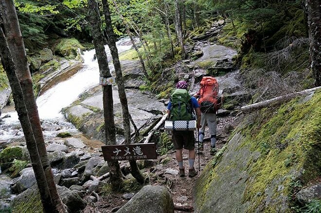 【富士山の次に登る山 vol.2】登山の魅力はムゲン大「美林を楽しむ山歩き」 上高地・甲武信岳・北八ヶ岳の画像007