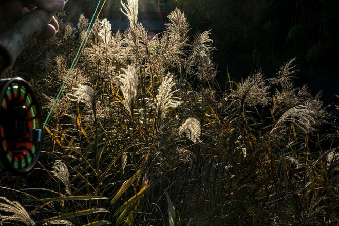 【渓流釣り】難しいほどに夢中になる釣り人の性！  流れに見え隠れする魚体、疑り深いニジマスをどうにか釣りたい一心で2週連続の長距離移動「鮎沢川冬季キャッチ&リリース」 静岡県｜2025年の画像002