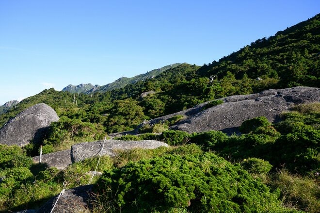 【世界自然遺産・屋久島】九州最高峰の「宮之浦岳」へ！  日本最南端の高層湿原「花之江河」を抜け、洋上のアルプスに臨むの画像010