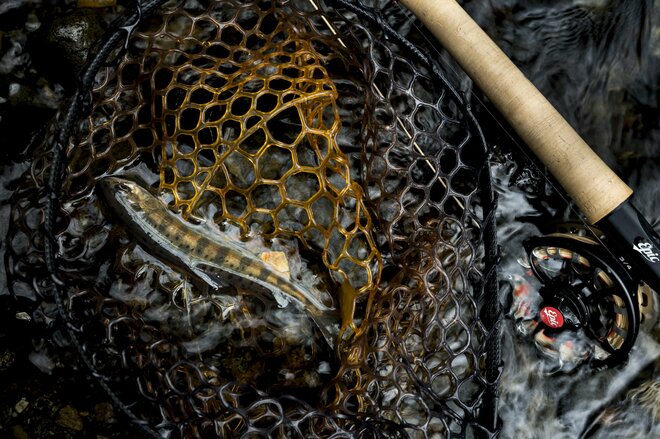 【渓流釣り】雪代を避けて釣り行脚！「初めての道、新しい景色、素晴らしい渓相にウキウキでフライフィッシング」 群馬県｜2026年の画像009
