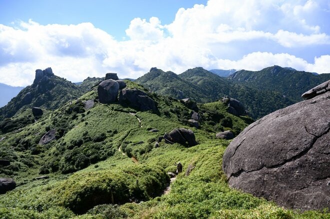 【世界自然遺産・屋久島】九州最高峰の「宮之浦岳」へ！  日本最南端の高層湿原「花之江河」を抜け、洋上のアルプスに臨むの画像013